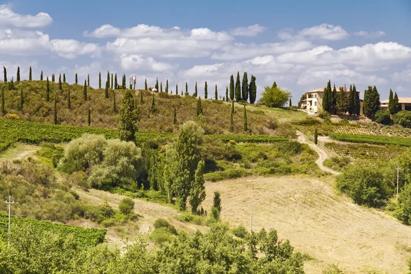 The beautiful view of the landscape of the Tuscany. Italy — Stock Photo, Image