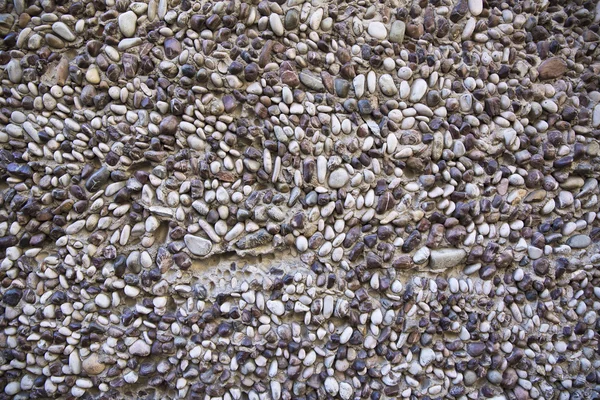 Sea stones — Stock Photo, Image