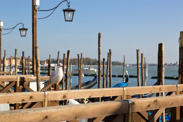 Veneza, Itália — Fotografia de Stock