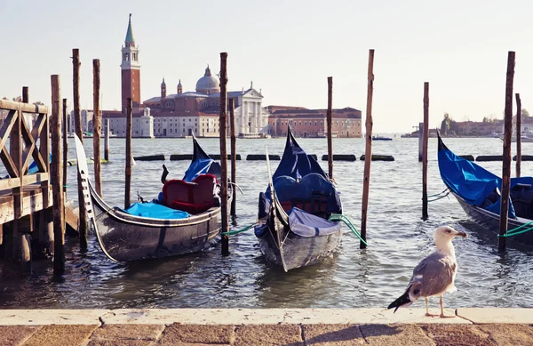 Venecia, Italia —  Fotos de Stock