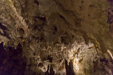 Postojna Mağarası