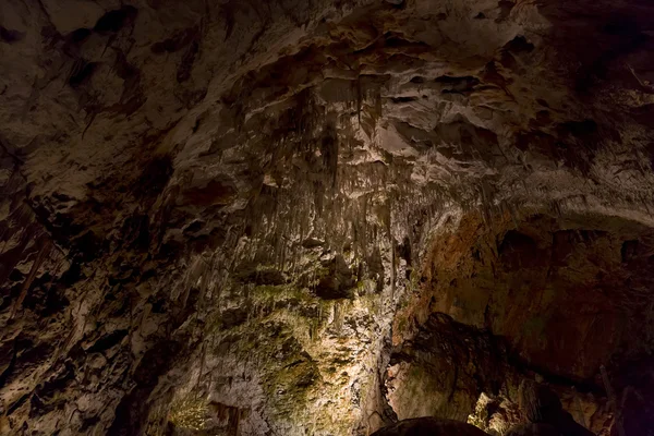 Grotte de Postojna — Photo