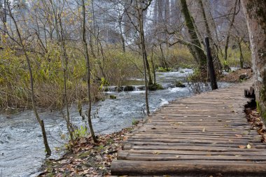 Plitvice Gölleri Ulusal Parkı
