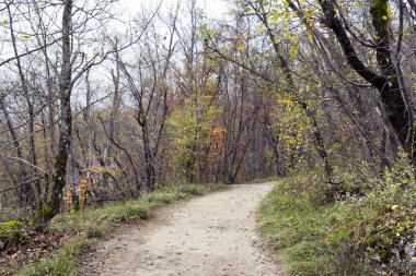 Plitvice Gölleri Ulusal Parkı