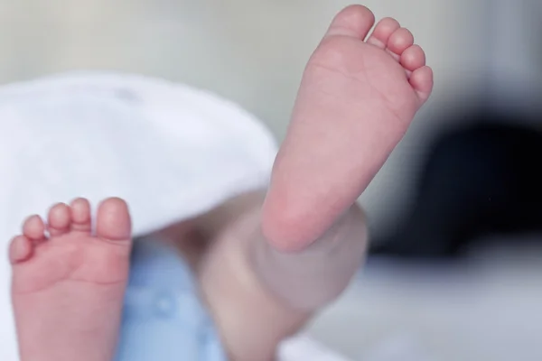 Baby feet — Stock Photo, Image