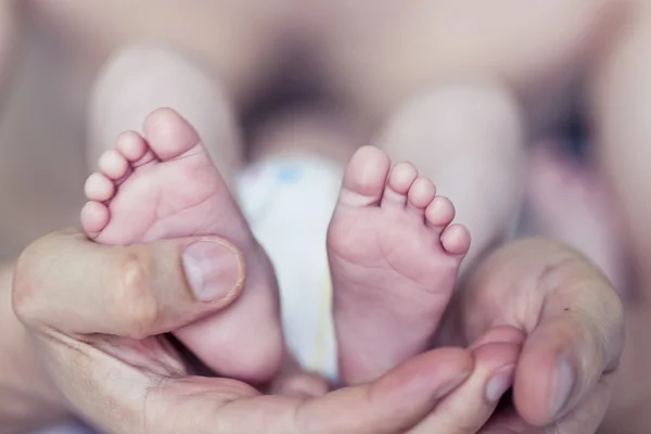 Baby feet — Stock Photo, Image