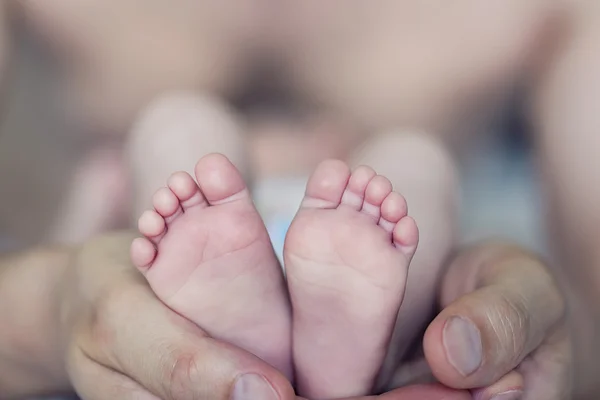 Baby feet — Stock Photo, Image