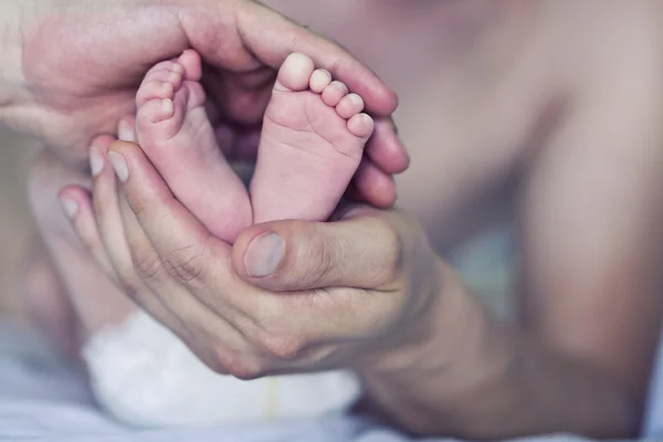 Baby feet — Stock Photo, Image