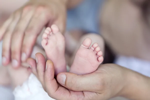 Baby feet — Stock Photo, Image