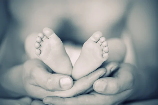 Baby feet — Stock Photo, Image