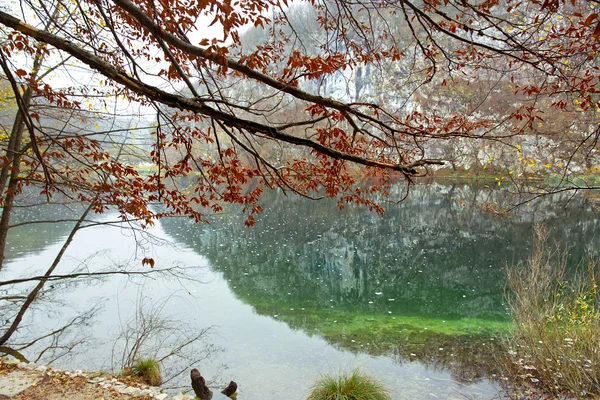 Parc national des Lacs de Plitvice — Photo