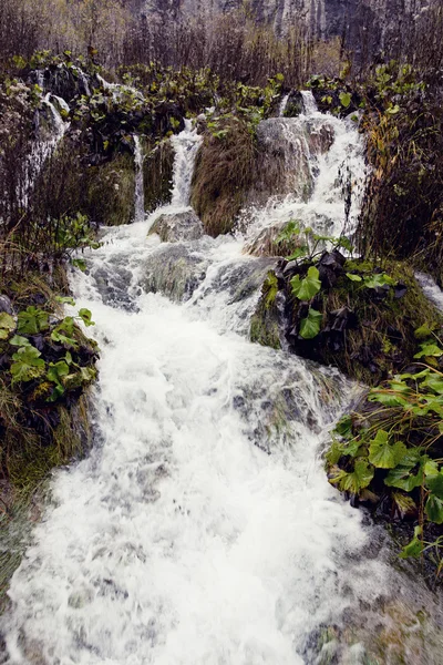 Εθνικό Πάρκο Plitvice Lakes — Φωτογραφία Αρχείου