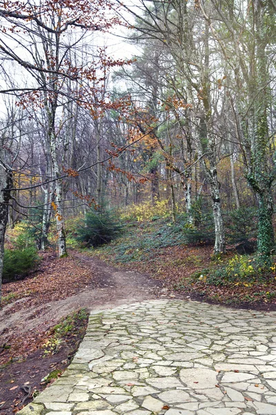 Parque Nacional de los Lagos de Plitvice — Foto de Stock