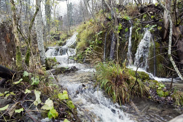 Plitvicei-tavak Nemzeti Park — Stock Fotó