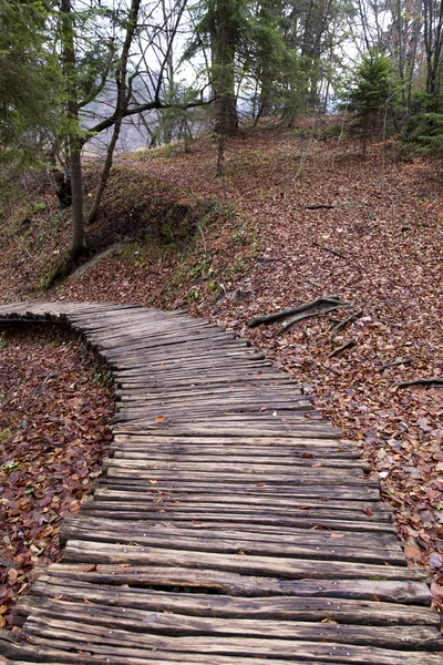 Plitvice Lakes National Park — Stock Photo, Image