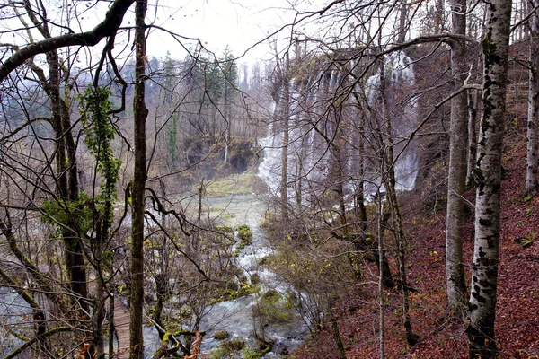 Park Narodowy Jezior Plitwickich — Zdjęcie stockowe