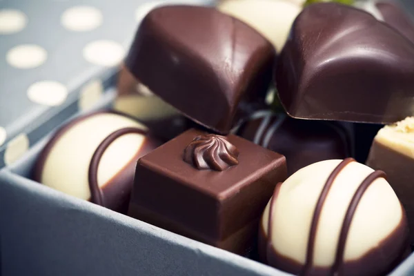 A chocolate pralines — Stock Photo, Image