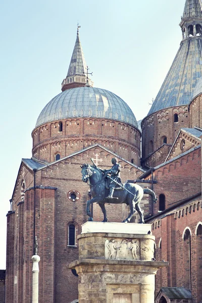 De Pauselijke Basiliek van Sint Antonius van padua — Stockfoto