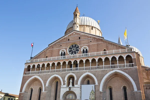 Die päpstliche basilika der heiligen anthony von padua — Stockfoto