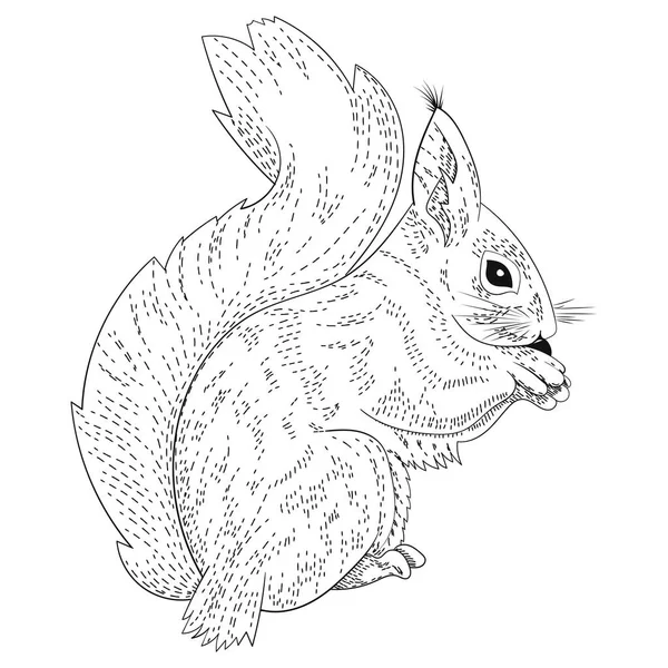 Forest Animals Squirrel Line Art Hatching Engraving Isolated Vector Illustration — Stock Vector