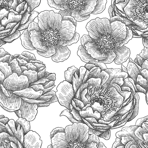 Flores Peônias Desenho Manual Gravura Preta Gráficos Arte Linha Padrão — Vetor de Stock