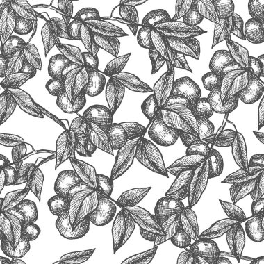 Erik ağacı dalı çizgi sanatı, çizim, oyma, çizgi sanatı. Kusursuz desen. İzole vektör illüstrasyonu.