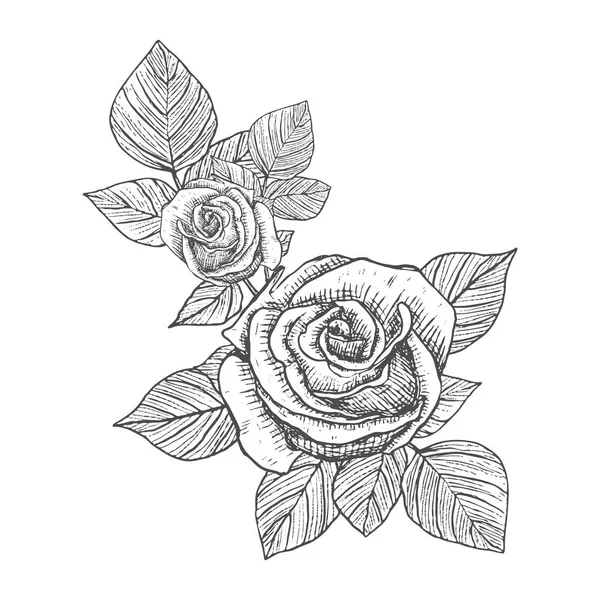 Des Roses Décoratives Arrangement Floral Des Fleurs Des Feuilles Bouquet — Image vectorielle