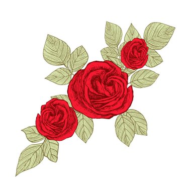 Süslü güller. Çiçek ve yaprakların çiçek aranjmanı. Düğün davetiyelerinin dekorasyonu için bir buket çiçek ve tebrik kartları. Siyah oymalar, grafikler, çizgi sanatı. Eski model. İzole vektör illüstrasyonu.