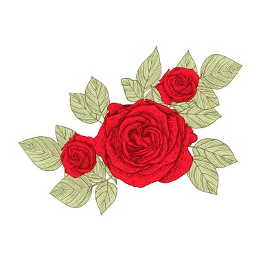 Süslü güller. Çiçek ve yaprakların çiçek aranjmanı. Düğün davetiyelerinin dekorasyonu için bir buket çiçek ve tebrik kartları. Siyah oymalar, grafikler, çizgi sanatı. Eski model. İzole vektör illüstrasyonu.