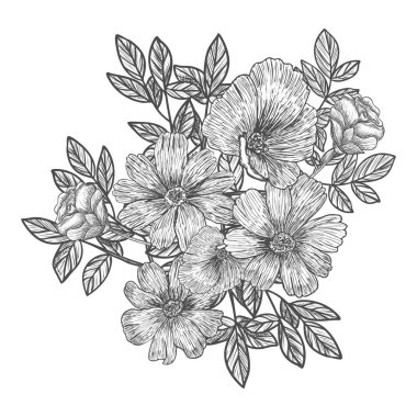 Dekoratif dallar ve buketler. Çiçek ve yaprakların çiçek aranjmanı. Düğün davetiyeleri ve tebrik kartları için bir buket çiçek. Siyah gravür, grafikler, çizgi sanatı. Eski.