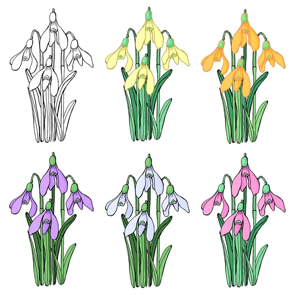 Set Von Sträußen Mit Frühlingsblumen Linienkunst Vektorgrafiken Isolierte Elemente — Stockvektor