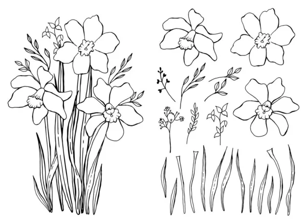 春天野花 一束雪花 植物学元素集合 手绘线条艺术 — 图库矢量图片