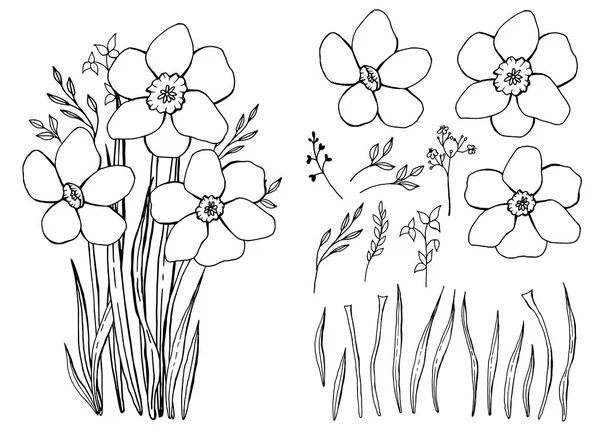 春天野花 一束雪花 植物学元素集合 手绘线条艺术 — 图库矢量图片