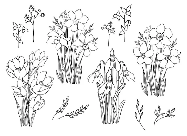春の花の花束のセット 線画だ ベクトルグラフィック 分離要素 — ストックベクタ