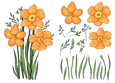 Bahar çiçekleri. Bir buket kardelen. Botanik elementler ayarlandı. El çizimi. Satır sanatı.