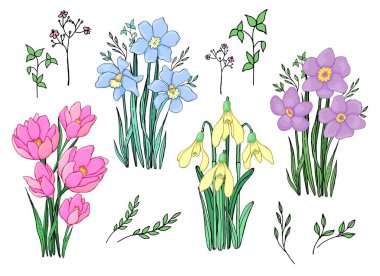 Bahar çiçekleri seti. Çizgi çalışması. Vektör grafikleri. İzole elementler.