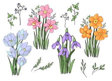 Bahar çiçekleri seti. Çizgi çalışması. Vektör grafikleri. İzole elementler.