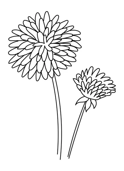 Bouquet Fiori Primaverili Isolati Fondo Bianco Disegno Contorno Linea Arte — Vettoriale Stock