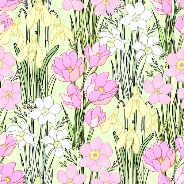 Весенние Полевые Цветы Ботанический Фон Изолированный Векторный Бесшовный Шаблон — стоковый вектор