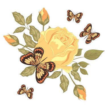Kelebekler ve bir buket gül. Düz vektör çizimi. Tasarım için izole edilmiş botanik ögesi