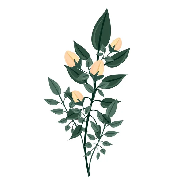 Ένα Κλαδί Ανθισμένου Δέντρου Φύλλα Και Λουλούδια Ανέγγιχτος Μεμονωμένο Διάνυσμα — Διανυσματικό Αρχείο