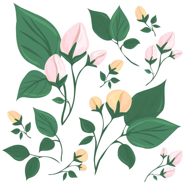 Una Rama Árbol Floreciente Hojas Flores Brote Sin Soplar Vector — Archivo Imágenes Vectoriales