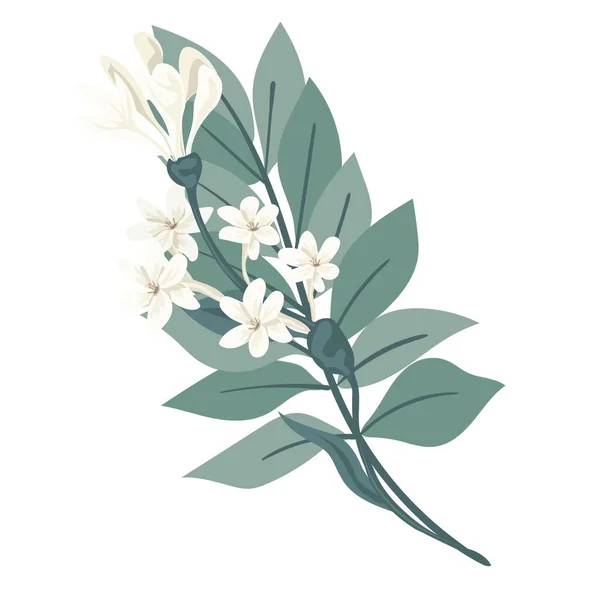 Ramo Hermosas Flores Primavera Flores Blancas Hojas Ramas Ilustración Vectorial — Archivo Imágenes Vectoriales