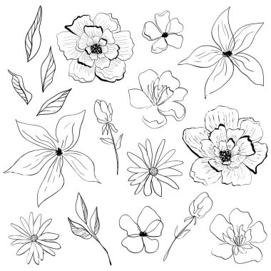 Bir demet çiçek ve yaprak. Vektör çizimleri ve çizgi çizimleri koleksiyonu. İzole botanik elementler.