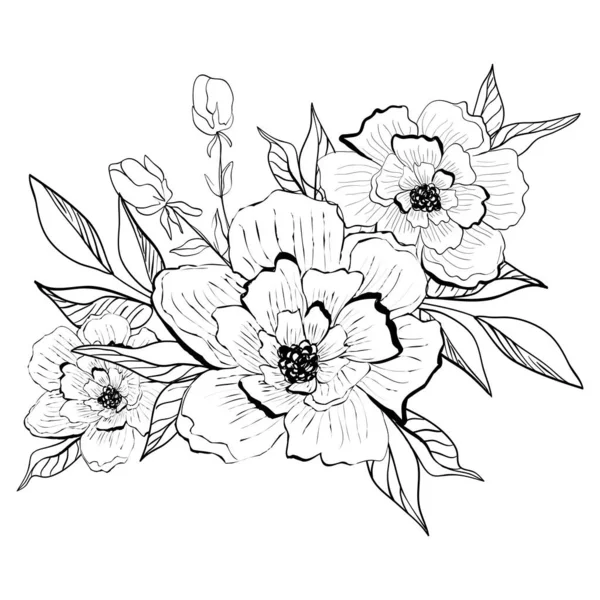 Bir Buket Çiçek Vektör Çizimleri Çizgi Çizimleri Koleksiyonu Zole Botanik — Stok Vektör