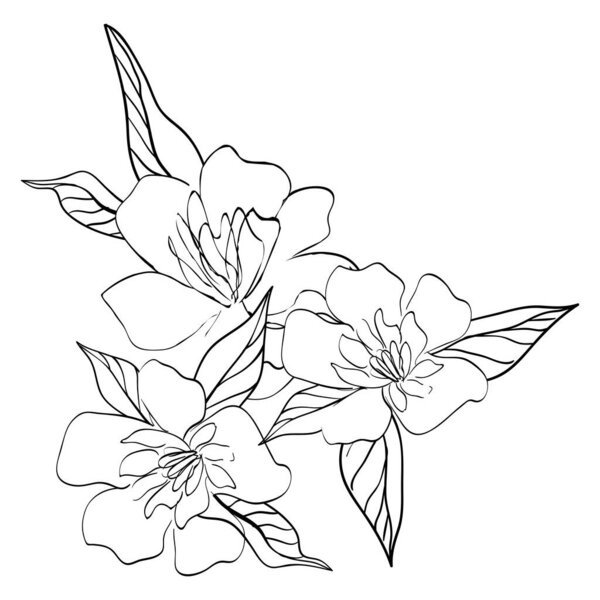 Bouquet of flowers. Collection of vector sketches and line art illustrations. Isolated botanical elements.