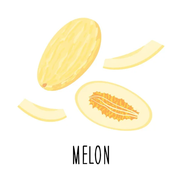 Mignon Melon Dessin Animé Tranches Melon Dessin Pour Cartes Postales — Image vectorielle