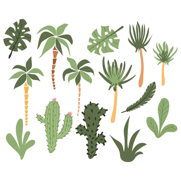 Lindo Dibujado Mano Palmas Dibujos Animados Cactus Iconos Plantas Tropicales — Vector de stock