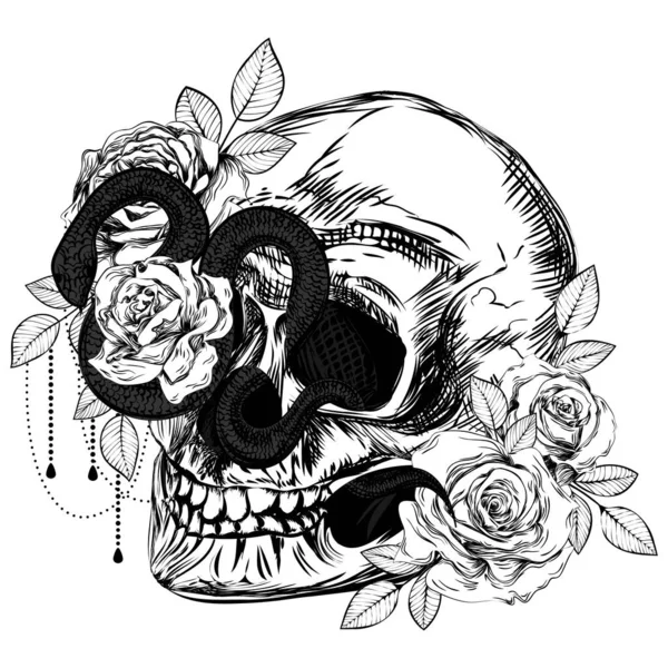 一束玫瑰 蛇和骷髅植物学线条艺术图解 哥特式古董纹身 — 图库矢量图片