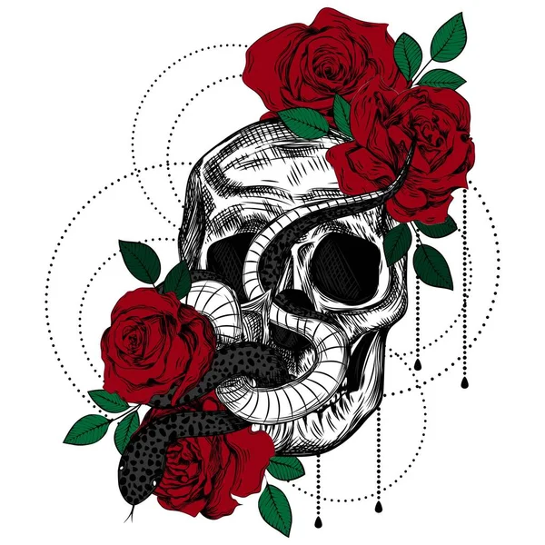 Ramo Rosas Serpiente Cráneo Ilustración Línea Botánica Coloreada Boceto Tatuaje — Vector de stock